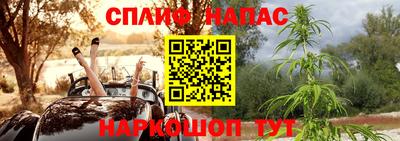 ПСИЛОЦИБИНОВЫЕ ГРИБЫ Ярославль