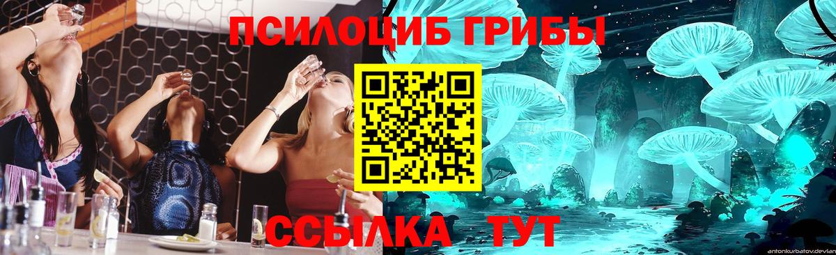 Галлюциногенные грибы мицелий  Вход с VPN  где найти   Семёнов 